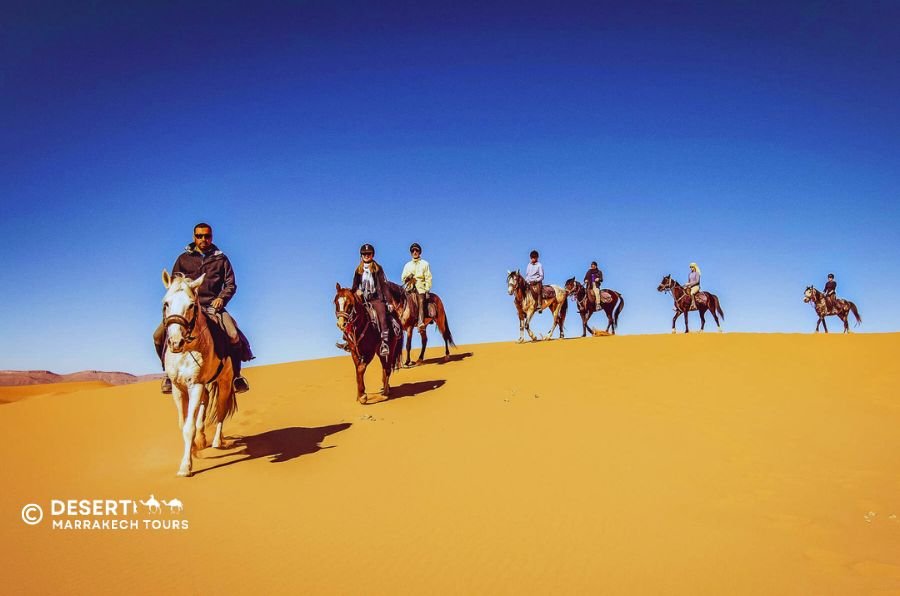 Paseos a caballo en el desierto de Merzouga