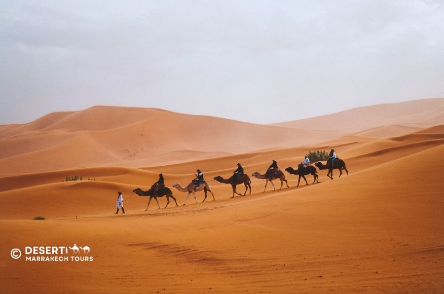 Marrakech a Chefchaouen: 5 días por el desierto