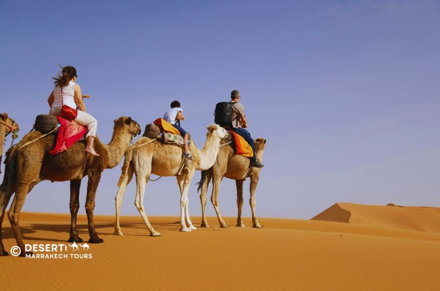 Marrakech a Merzouga: 2 días por el desierto