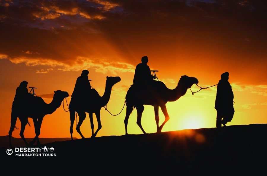 Marrakech to Zagora desert tour 2 days