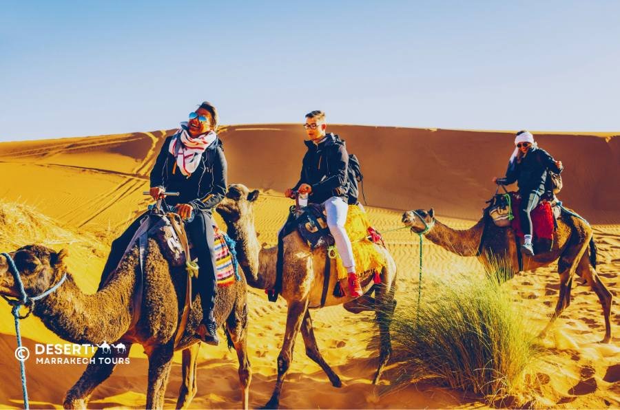 Trekking in cammello al tramonto nel deserto di Merzouga