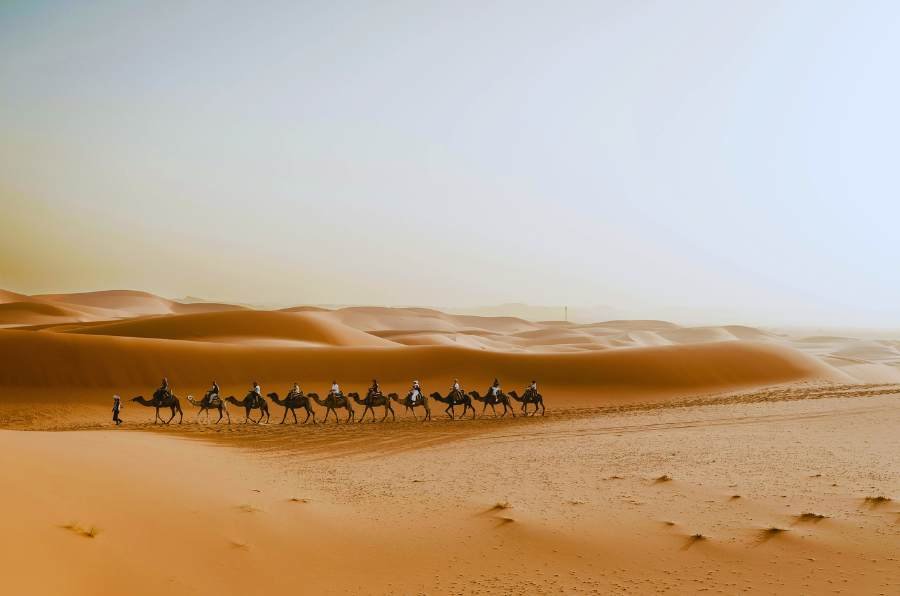 Tour nel deserto di Fes